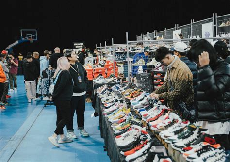 sneaker con melbourne.